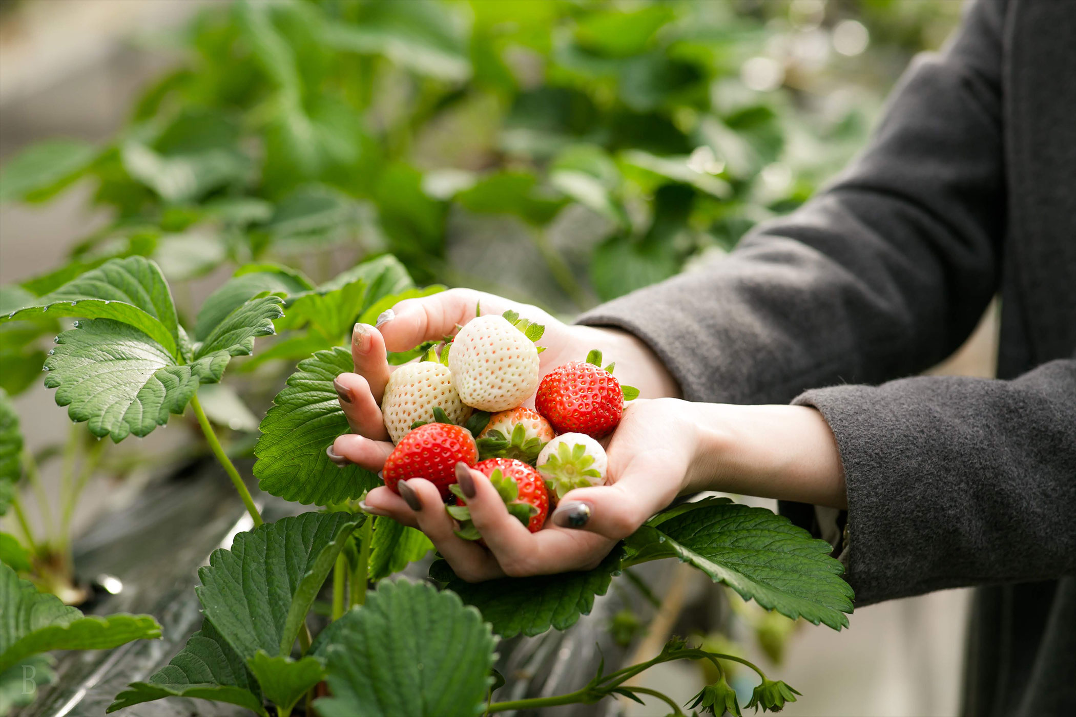 リバーサイドキャンプリゾート秩父定峰清流キャンプ場
