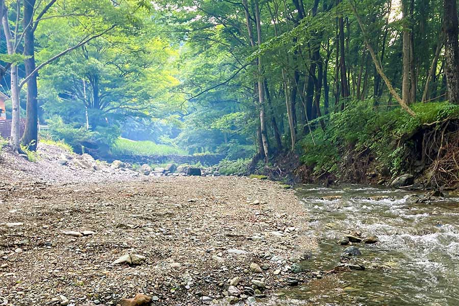 清流が流れる森のキャンプリゾート